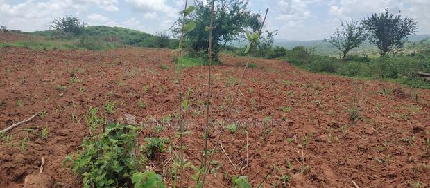 Embu County,Gitaru 10 Acres Agricultural Farmland