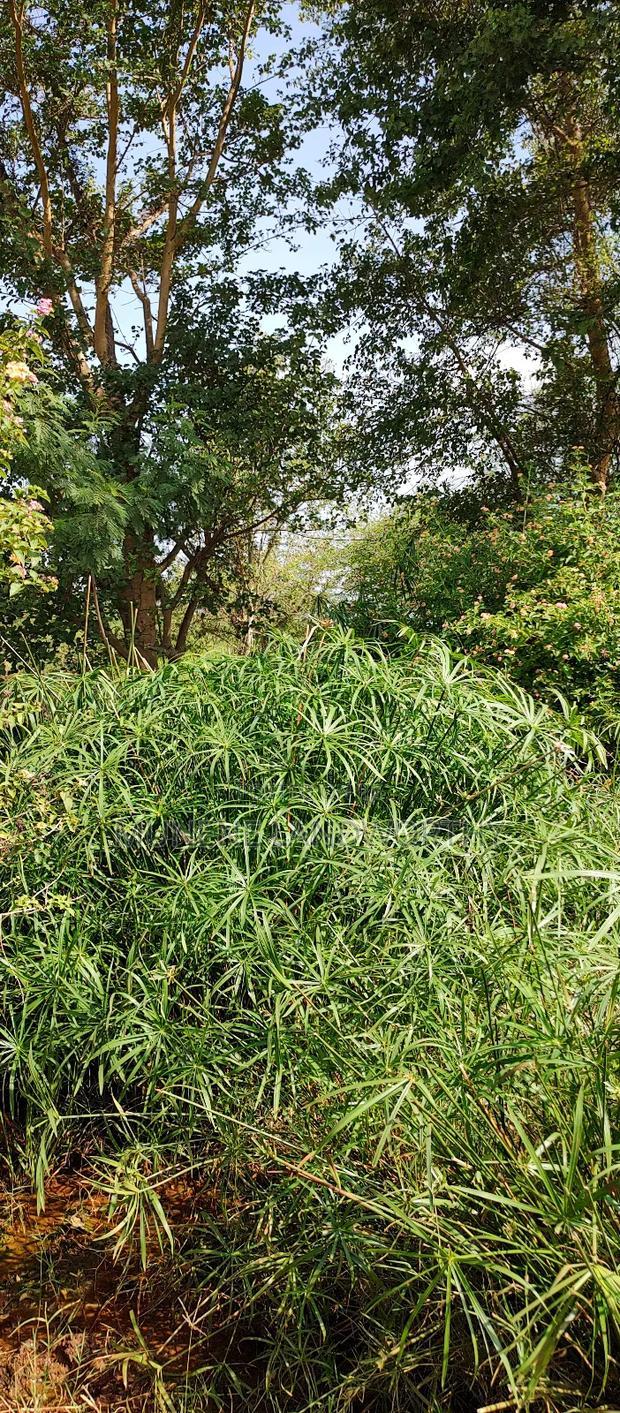 Embu , Mariari 5.8 Acres Agricultural Farmland With River
