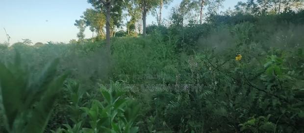 Embu County, Kiambere 5 Acres Agricultural Farmland