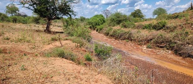 Embu County,Karura Mbeere South 18 Acres Farmland