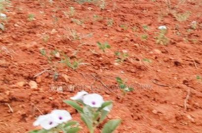 Embu County,Gatete 11 Acres Agricultural Farmland