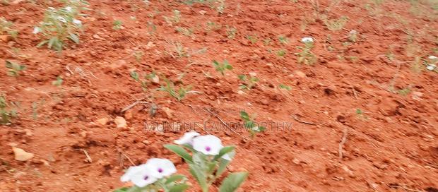 Embu County,Gatete 11 Acres Agricultural Farmland