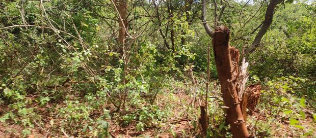 Embu County, Mariari 4.2 Acres Agricultural Farmland
