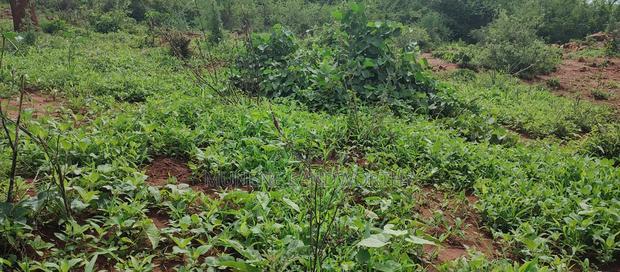 Embu , Mariari Kiambere 20 Agricultural Farmland