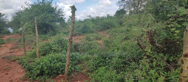 Embu , Mariari Kiambere 20 Agricultural Farmland