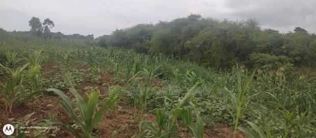 Embu County, Kiambere 6 Acres Agricultural Farmland