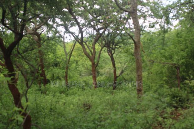 Embu , Mariari Kiambere 20 Agricultural Farmland