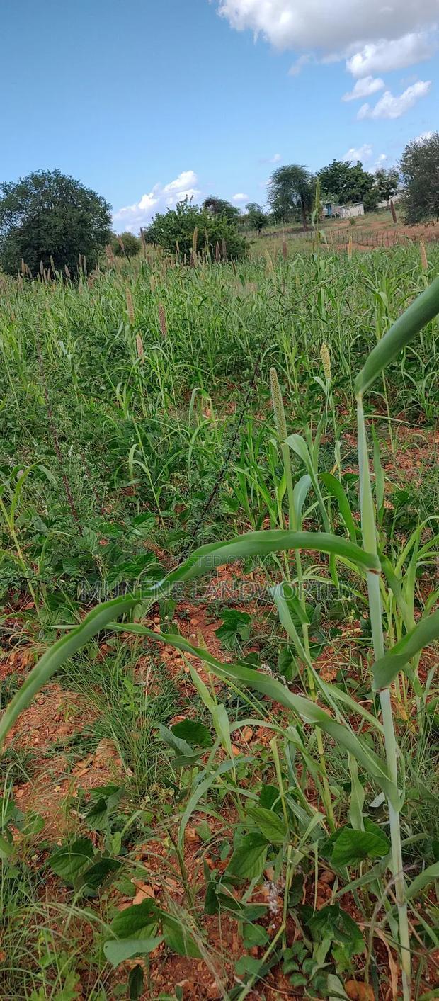 Embu County, Kiambere 10 Agricultural Farmland.