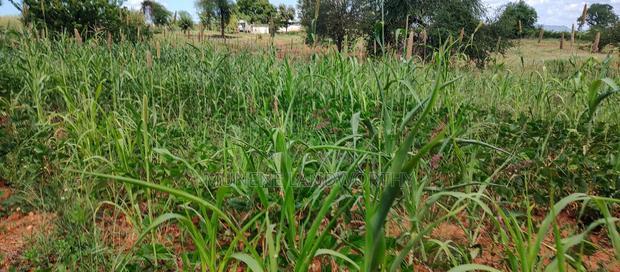 Embu County, Kiambere 10 Agricultural Farmland.