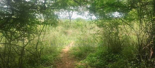 Embu County, Mutuobare Town 2acres Along the Main Tarmac