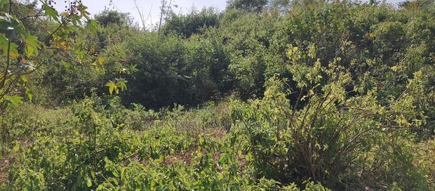 Embu ,Kiambere 13.5 Acres Agricultural Farmland.