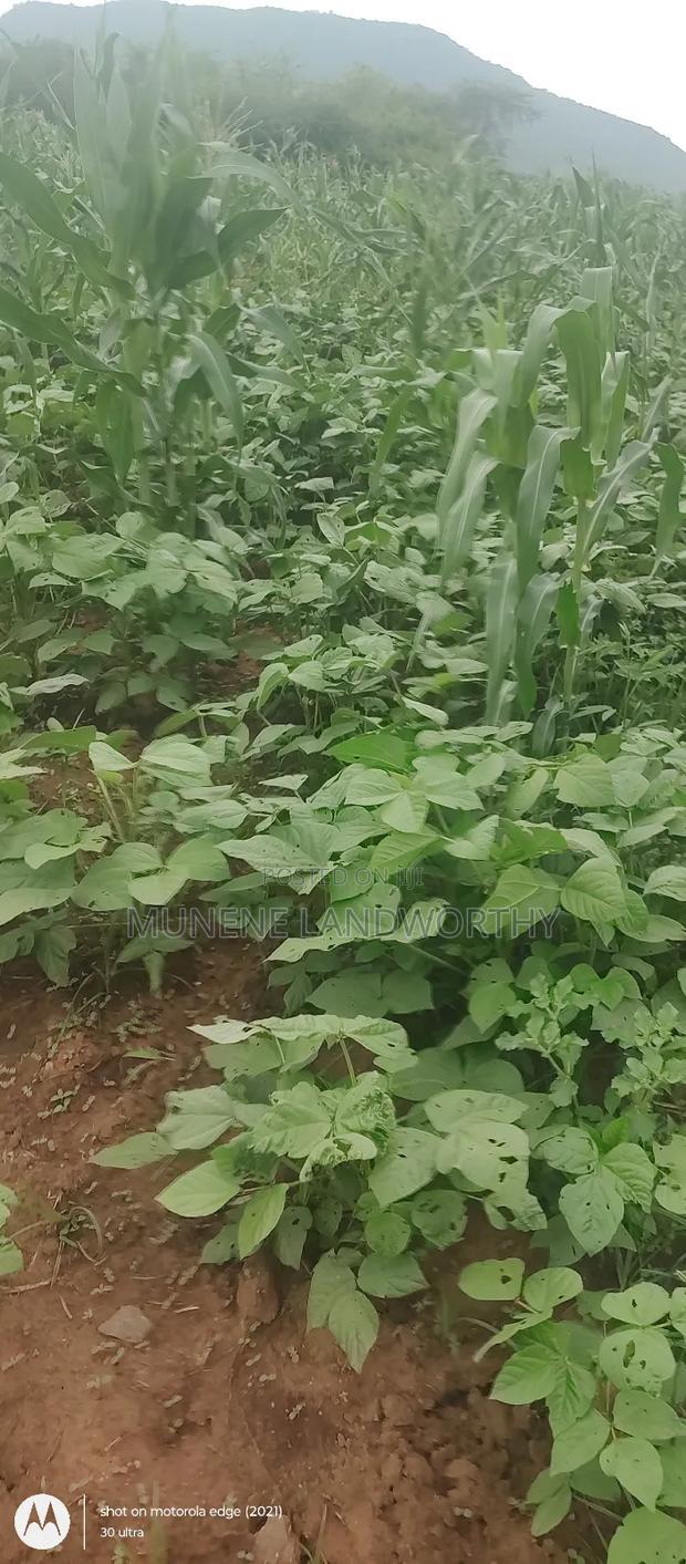 Embu County, Kiambere 6 Acres Agricultural Farmland
