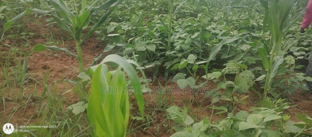 Embu County, Kiambere 6 Acres Agricultural Farmland