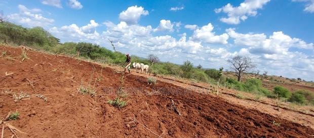 Embu County,Karura Mbeere South 18 Acres Farmland