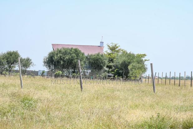 Juja Farm Plots Mwireri