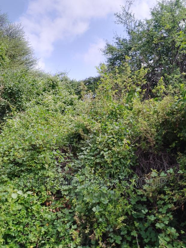 58acres for Sale Touching a Seasonal River