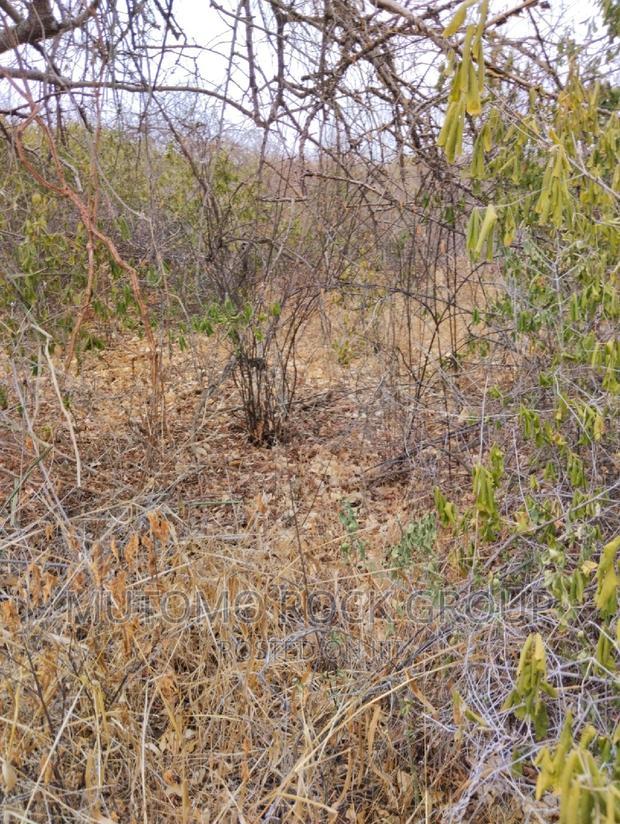 100acres for Sale With Title