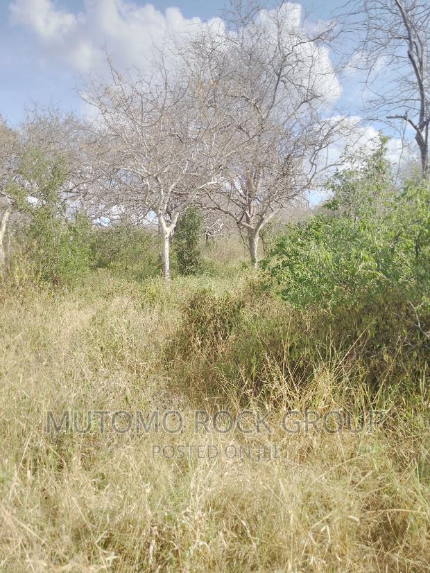 1500 Acres for Sale