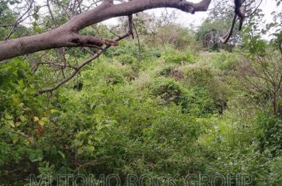 58acres for Sale Touching a Seasonal River