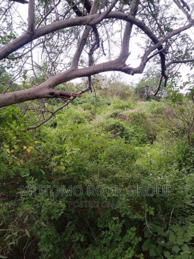 58acres for Sale Touching a Seasonal River