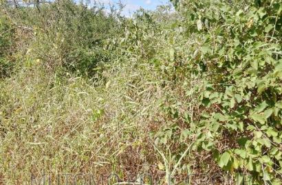 11.7acres For Sale