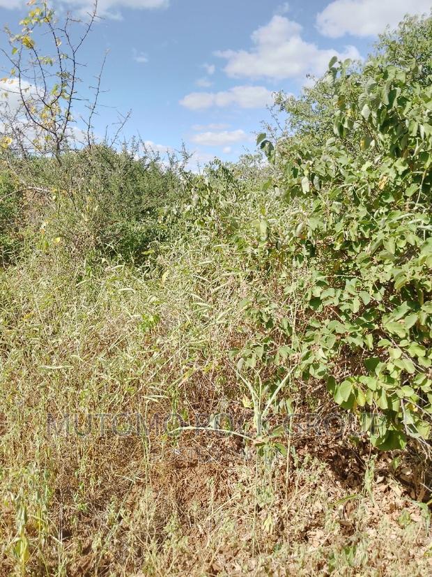 11.7acres For Sale
