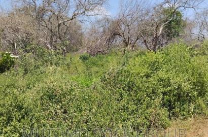 75acres for Sale