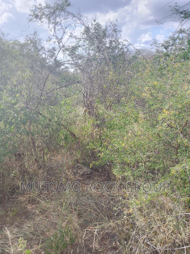 1500 Acres for Sale