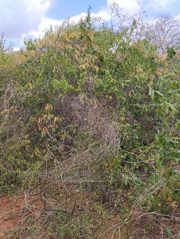 130acres for Sale With Title Deed