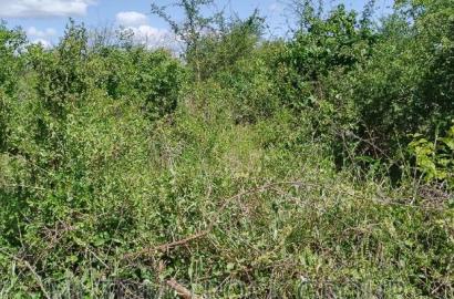 31acres for Sale