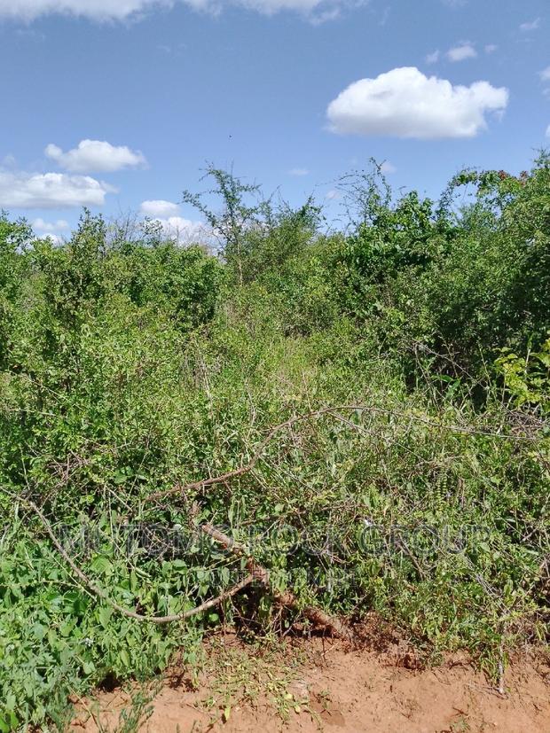 31acres for Sale