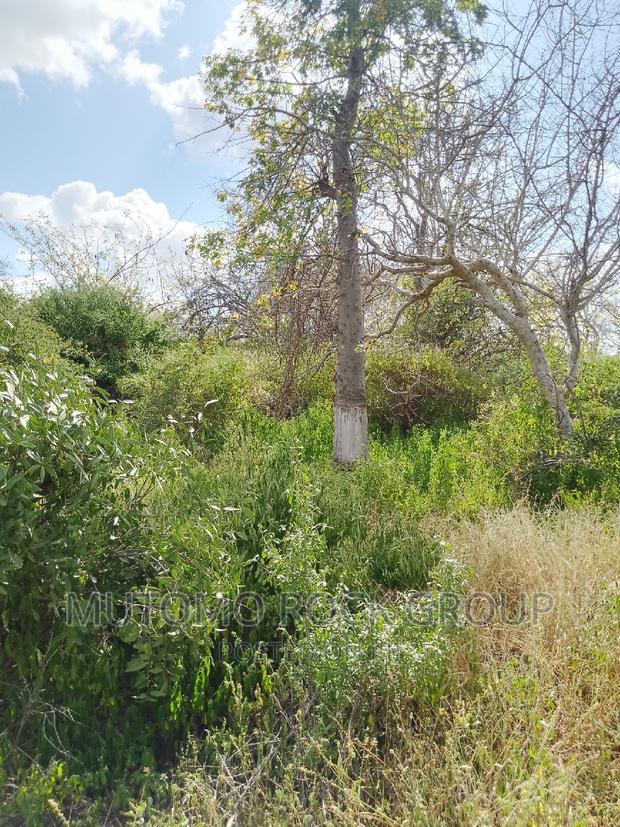 41 Acres For Sale
