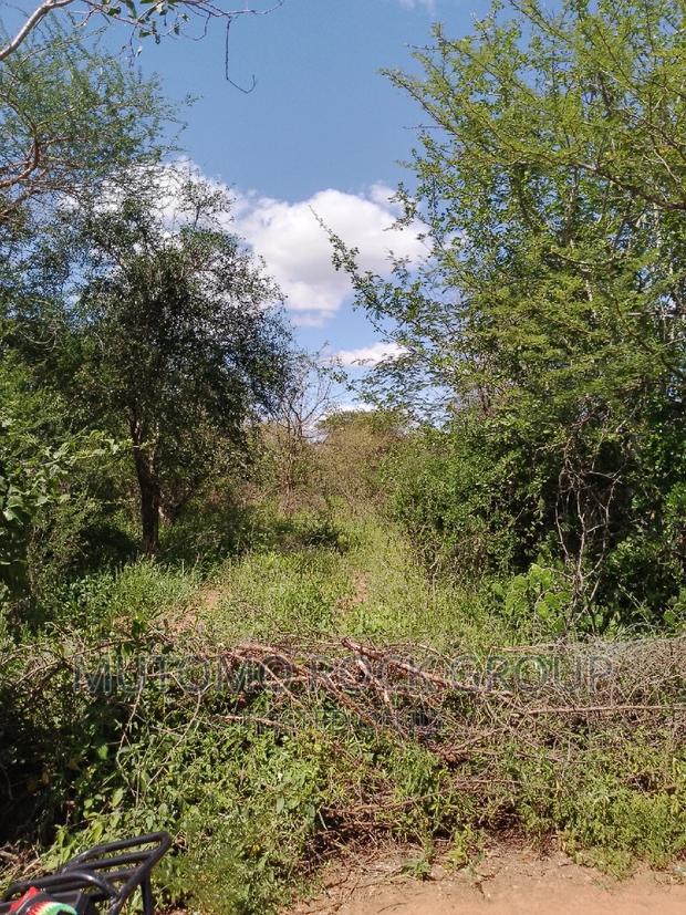 300acres for Sale
