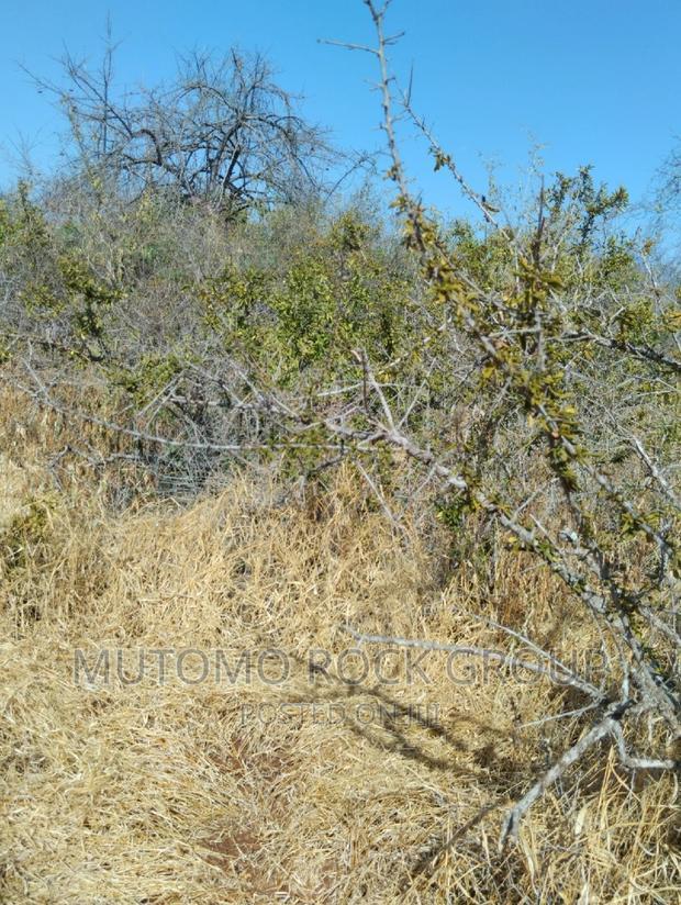14 Acres for Sale