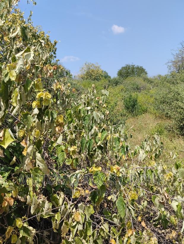 4.3acres for Sale 1.5km From Tarmac