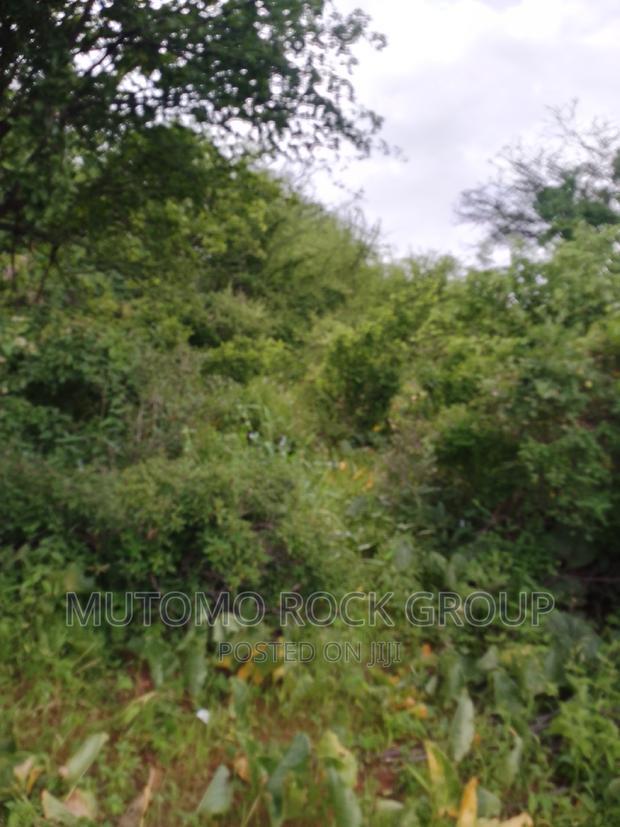 994acres for Sale