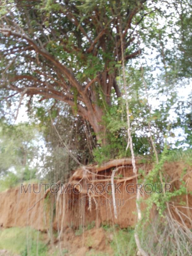 58acres for Sale Touching a Seasonal River