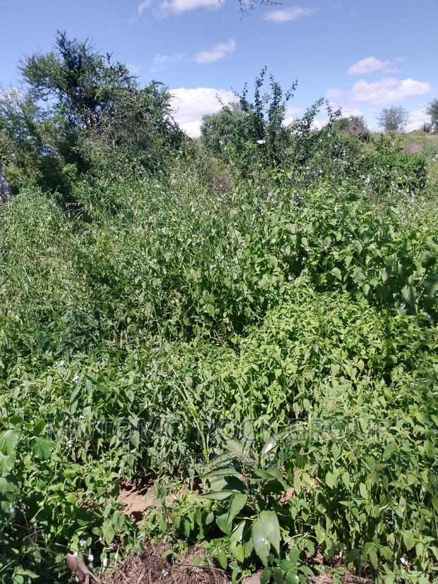 31acres for Sale