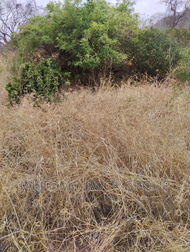 100acres for Sale With Title