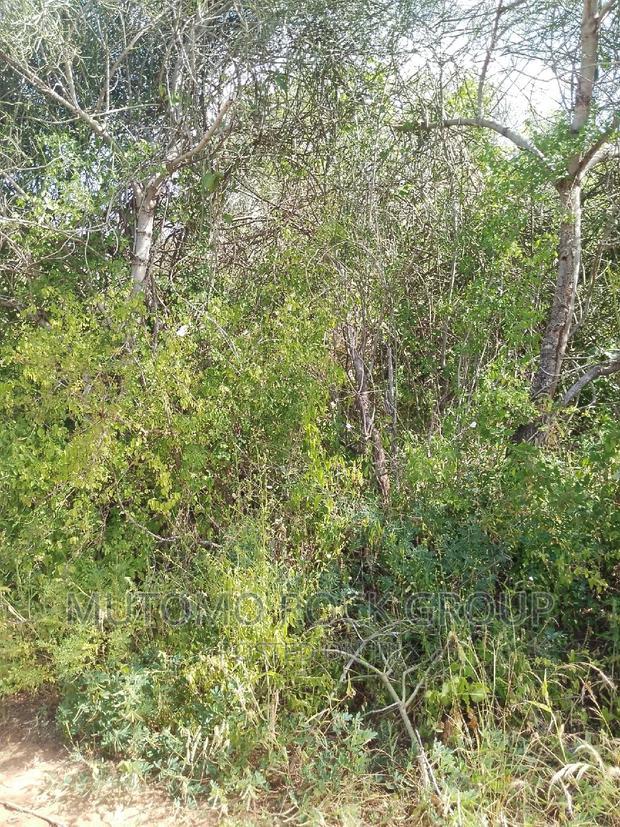 11.7acres For Sale