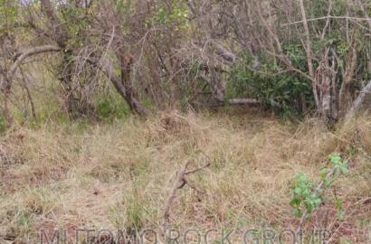 32acres for Sale
