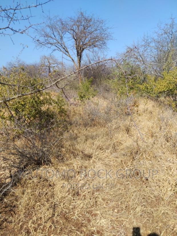 14 Acres for Sale