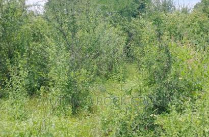 46 Acres With Title