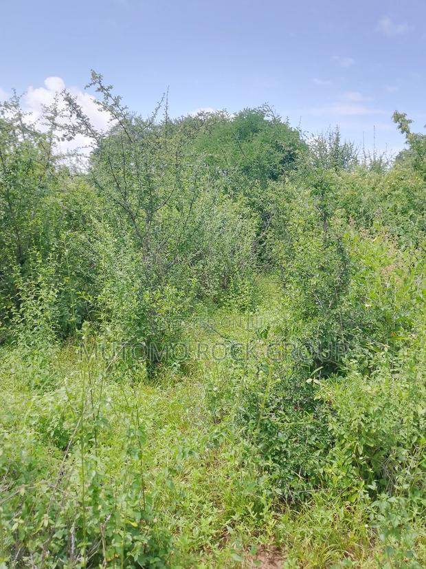 46 Acres With Title