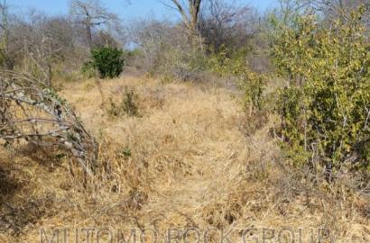 14 Acres for Sale