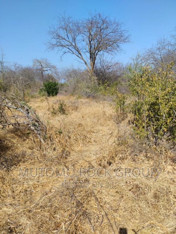 14 Acres for Sale