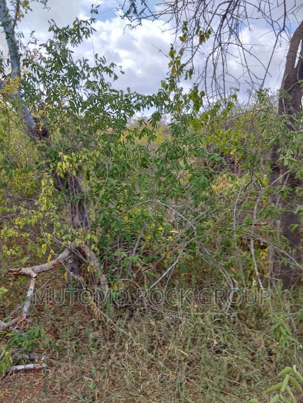 130acres for Sale With Title Deed