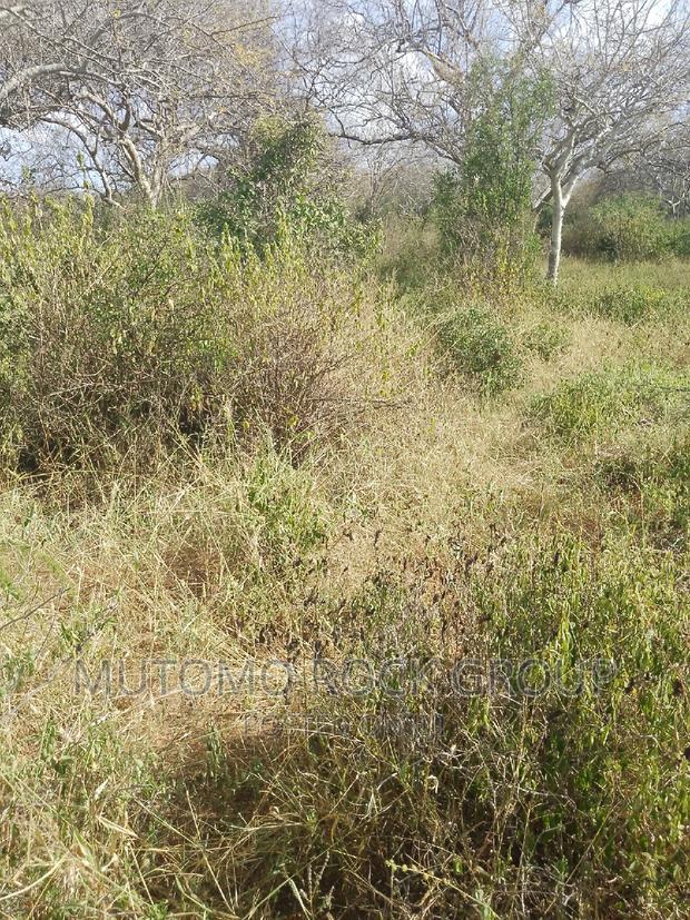 1500 Acres for Sale