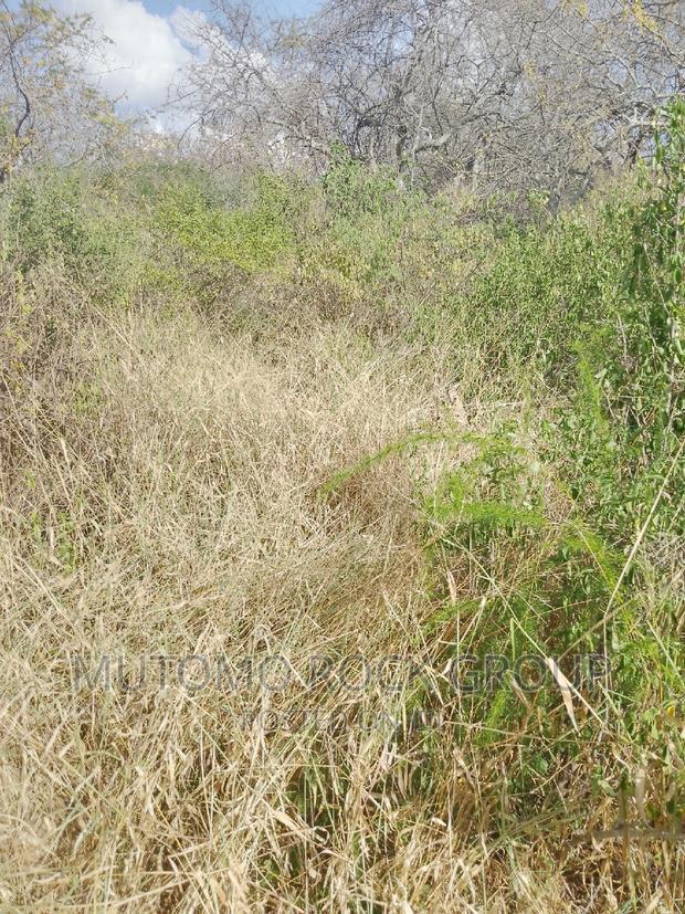 1500 Acres for Sale