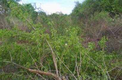 160acres for Sale